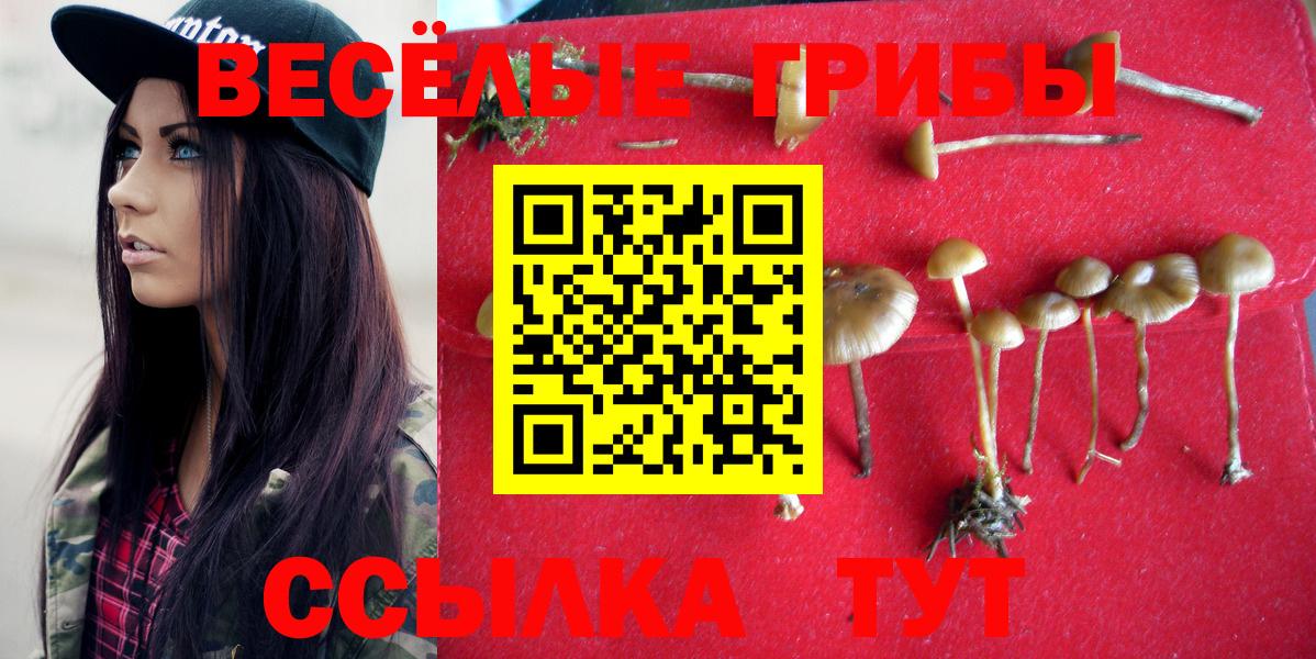 Галлюциногенные грибы Psilocybine cubensis  Вход с VPN  Псилоцибиновые грибы Psilocybine cubensis  Славянск-на-Кубани 